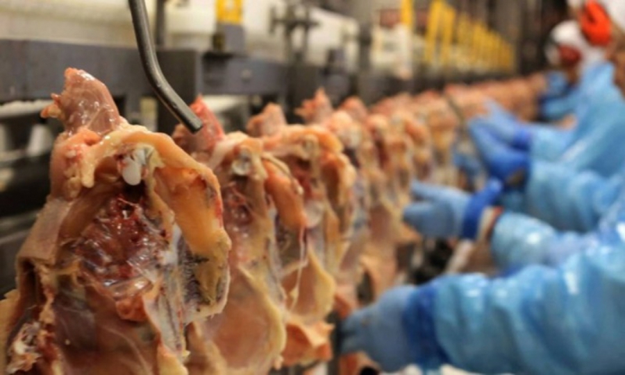 Grupo BRF é investigado por omitir presença de salmonela em carnes