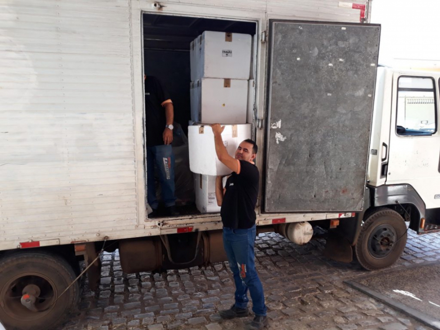 Prefeitura recebe nova remessa de insulinas para mossoroenses diabéticos