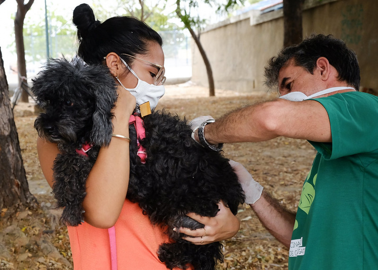 Foto: Allan Phablo/PMM