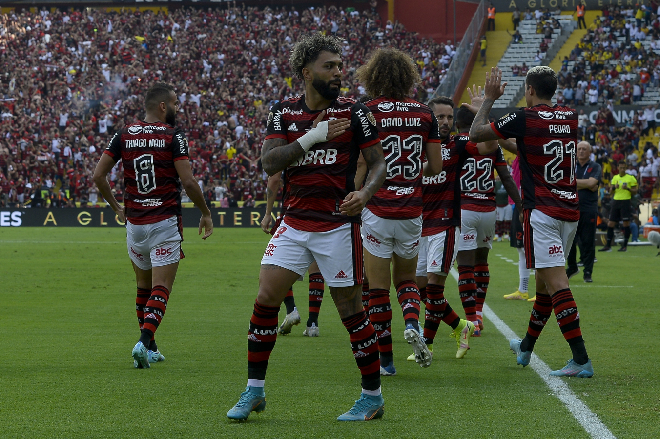 Foto: Marcelo Cortes / Flamengo