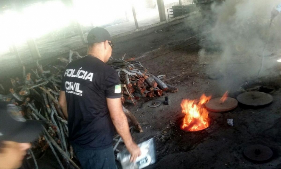 Denarc incinera meia tonelada de drogas apreendidas em operações