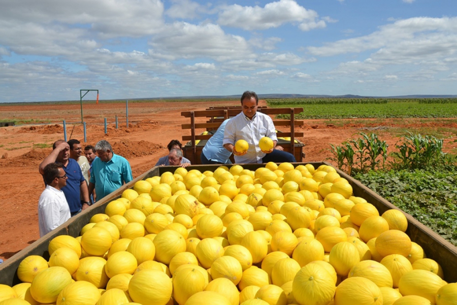 Empresas de Mossoró puxaram aumento das exportações em 2017