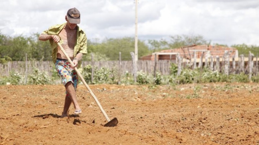 Mais de 900 agricultores familiares estão aptos a receber o Garantia Safra em Mossoró