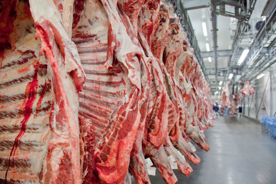 China retoma importações de carne bovina do Brasil